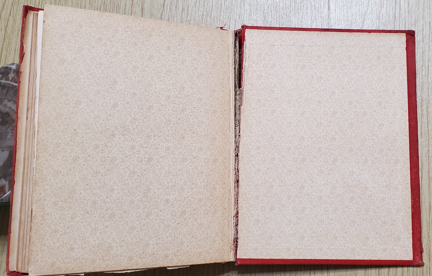 Boyd, James. Red Men on the War Path. Phil: J. H. Moore, (1895). Plates. Pict cloth, gilt. Gilt faded, cloth discolored, covers loose, hinges cracked, "Death of Sitting Bull" plate loose and laid in. Fair