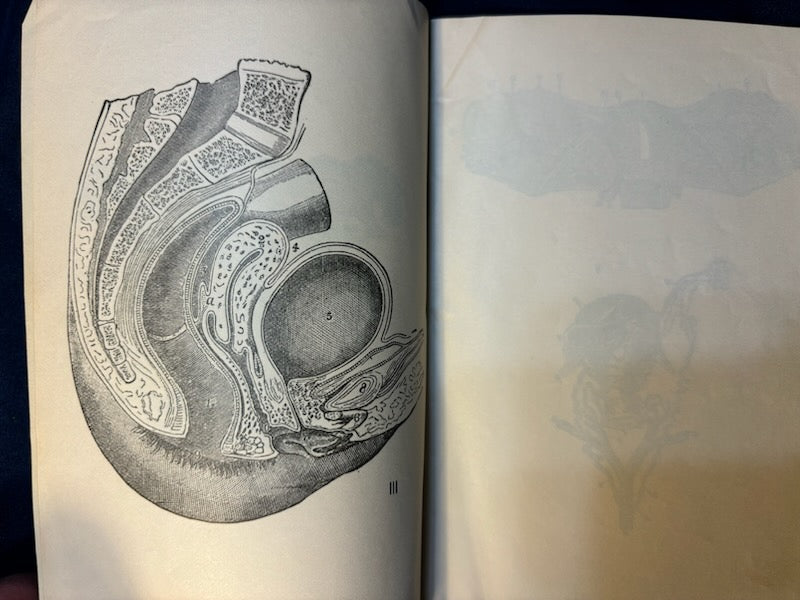 Stockham, Alice.  Tokology. Chicago: Sanitary Pub, 1886. Revised Ed. Pamphlet of plates in pocket. Pict cloth, gilt. Light foxing. Rear hinge cracked.Very Good