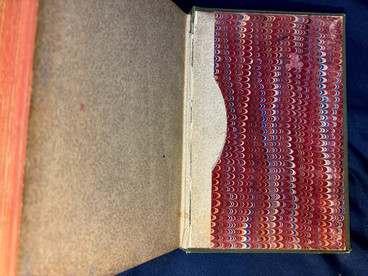 Stockham, Alice.  Tokology. Chicago: Sanitary Pub, 1886. Revised Ed. Pamphlet of plates in pocket. Pict cloth, gilt. Light foxing. Rear hinge cracked.Very Good