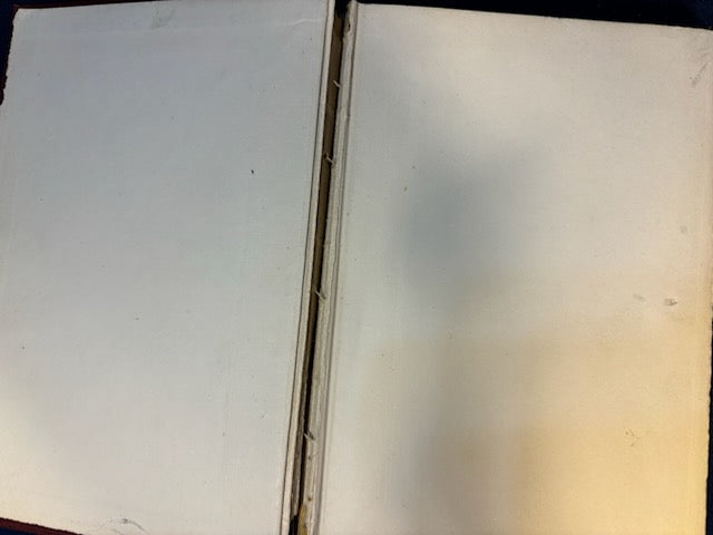 Sangster, Margaret. Winsome Womanhood. NY: Revell, 1900. 1st ed. Illus. Pict cloth, gilt. Front hinge broken, rubbed, frayed. G