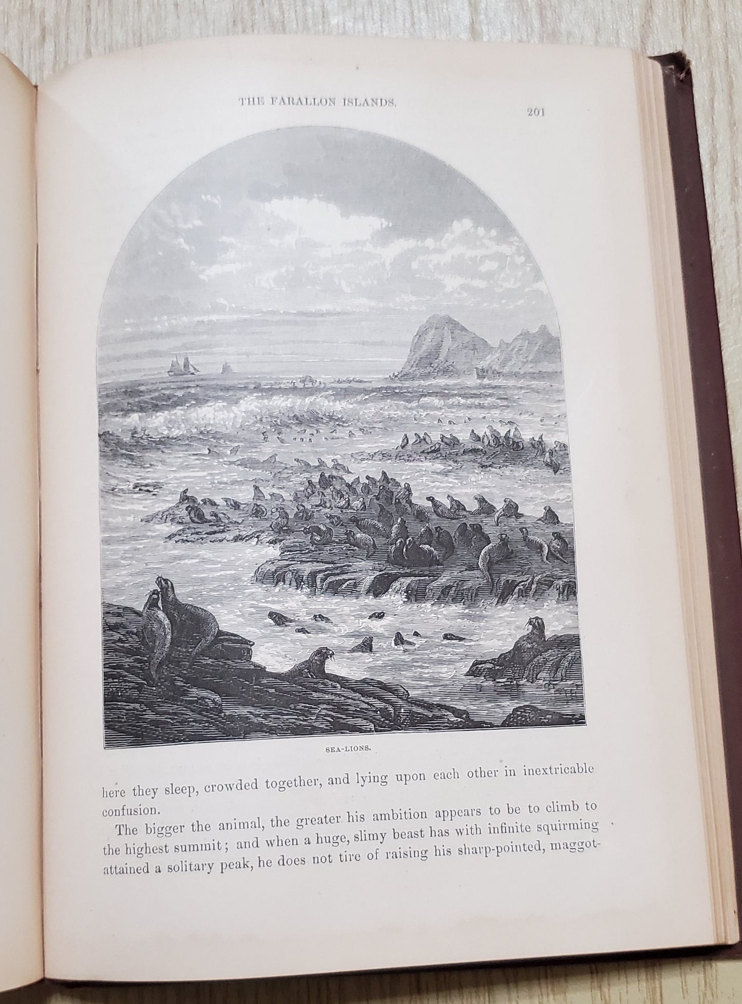 Nordhoff, Charles. Northern California, Oregon and the Sandwich Islands. 1874. 1st ed. Illus. Cloth, gilt. Cloth frayed, rubbed, bb-sized hole through first four pages, bookplate removed. VG