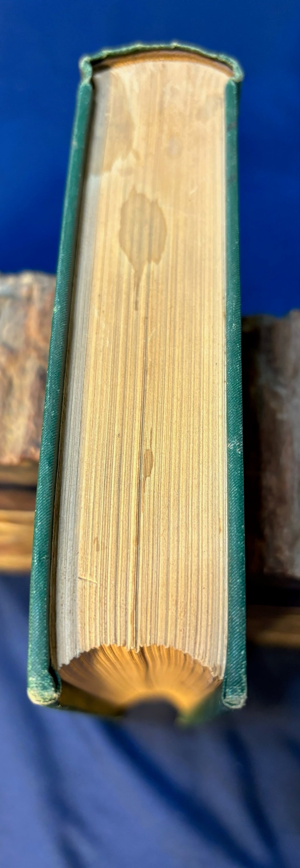 Entrikin, F. W.  Woman’s Monitor. Green Springs, OH: Entrikin, 1881. 1st ed. Pict cloth, gilt. Fine but for top stain & beginning of front hinge split