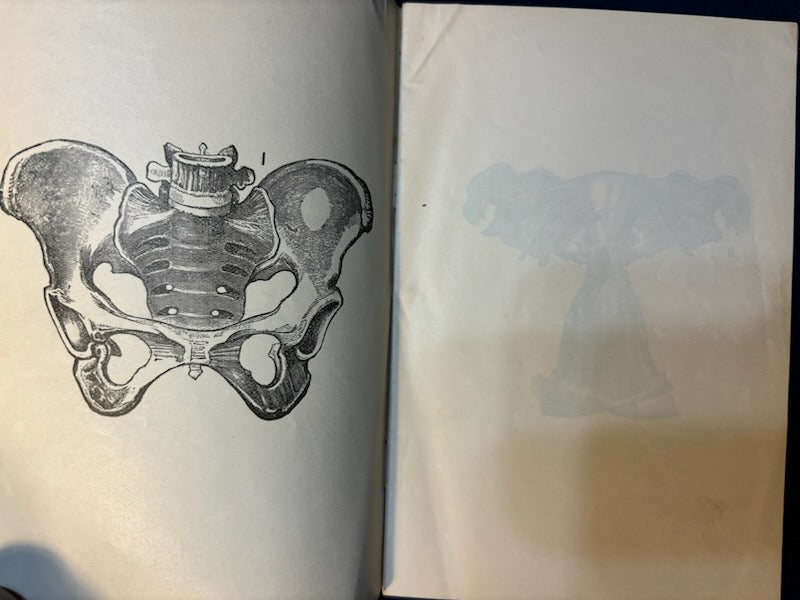 Stockham, Alice.  Tokology. Chicago: Sanitary Pub, 1886. Revised Ed. Pamphlet of plates in pocket. Pict cloth, gilt. Light foxing. Rear hinge cracked.Very Good